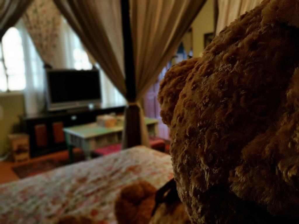 Bearbear Homestay مدينة هوالين المظهر الخارجي الصورة