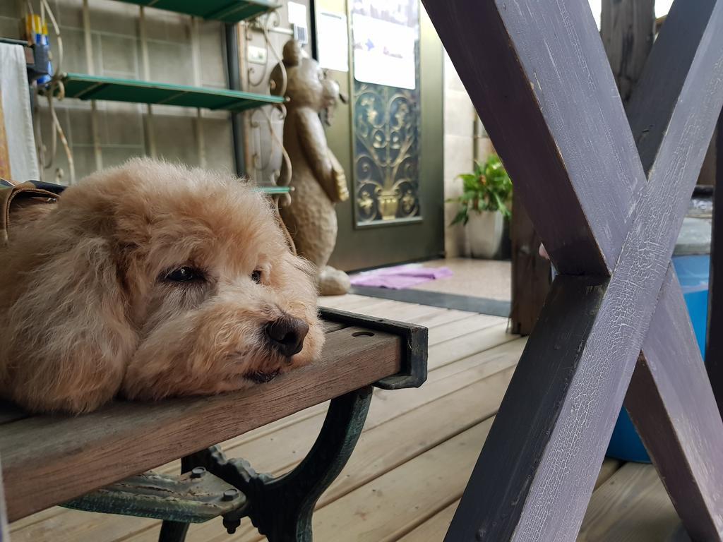 Bearbear Homestay مدينة هوالين المظهر الخارجي الصورة
